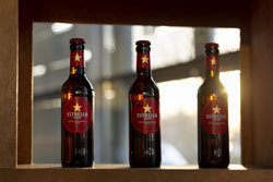 Els Premis Enderrock des de dins 